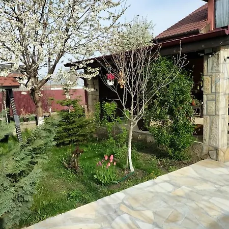 Holiday home Vecinul Lui Ion Creanga