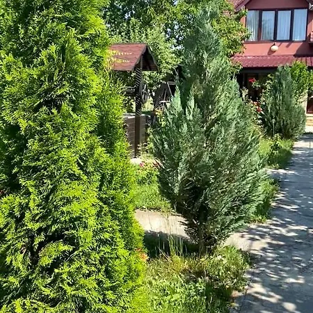 Vecinul Lui Ion Creanga * Mahala