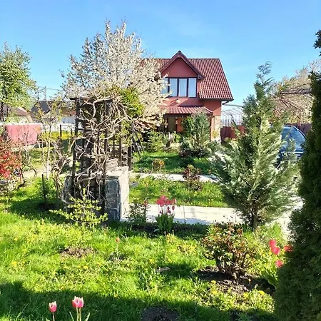 Vecinul Lui Ion Creanga * Mahala