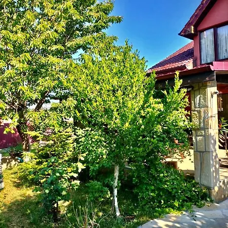Vecinul Lui Ion Creanga Holiday home Mahala