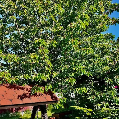 Vecinul Lui Ion Creanga Holiday home